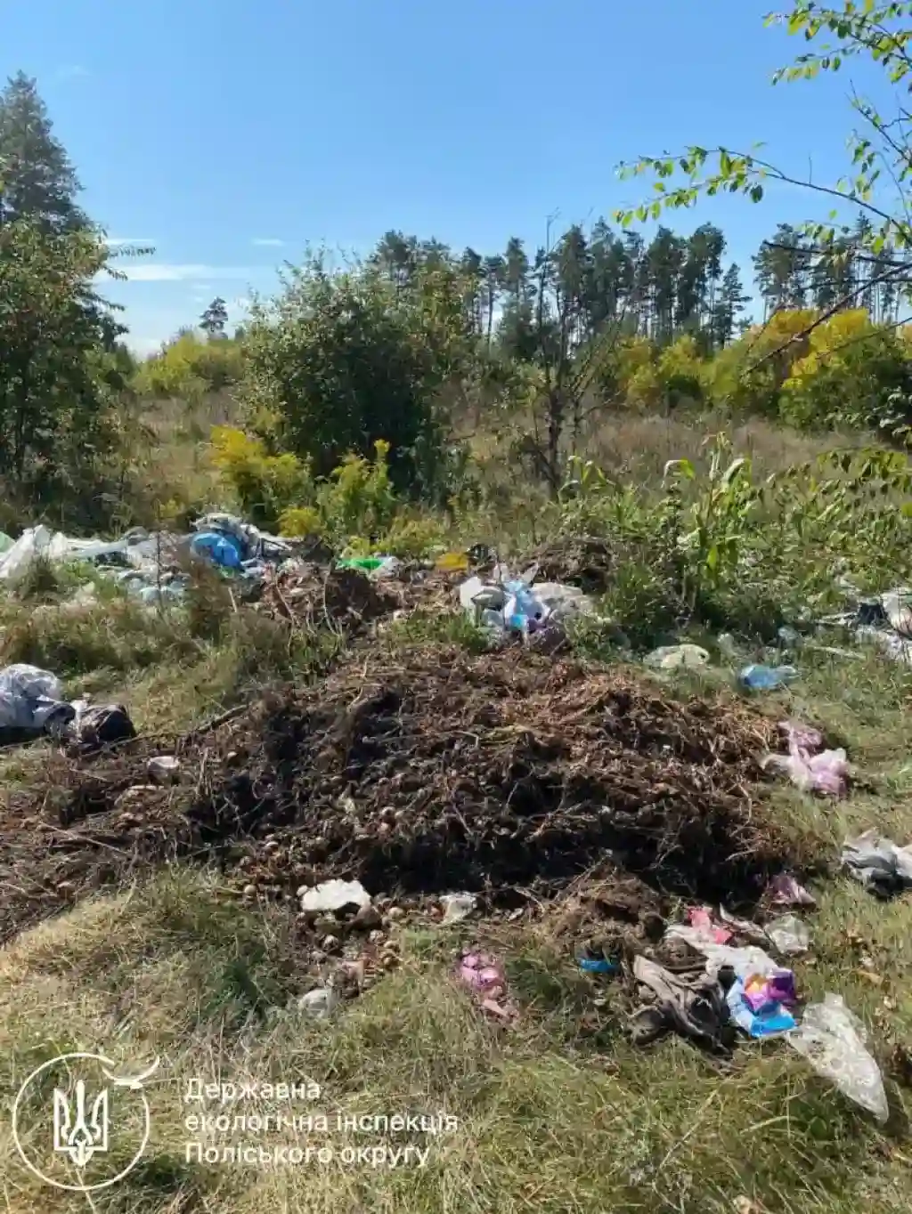 Черняхівська селищна рада програла суд і сплатила понад пів мільйона гривень за шкоду довкіллю
