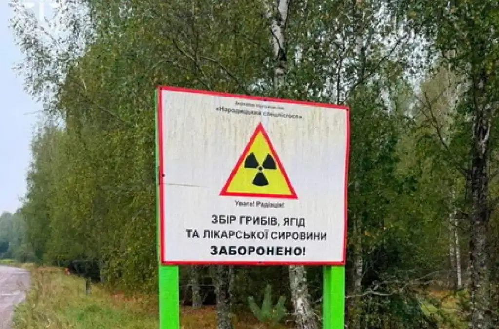 На Житомирщині викрили схему вирощування врожаю на радіоактивно забруднених землях