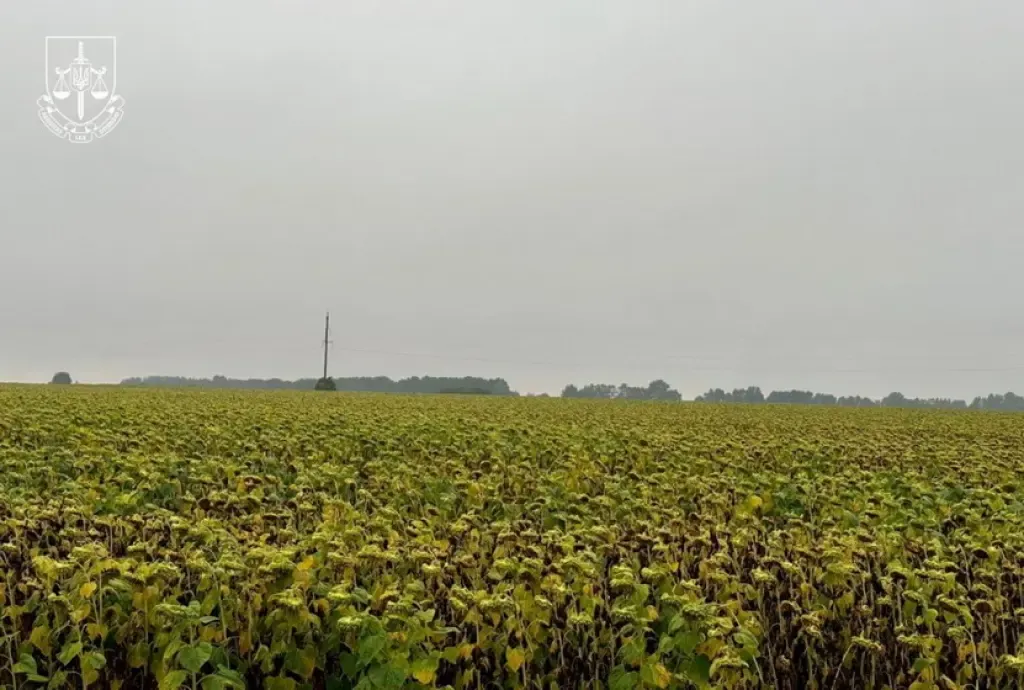 На Житомирщині викрили схему вирощування врожаю на радіоактивно забруднених землях