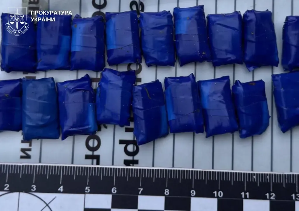 У Житомирському районі затримали чоловіка з 72 згортками психотропів