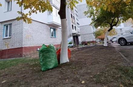 У Житомирській громаді стартує місячник осіннього прибирання