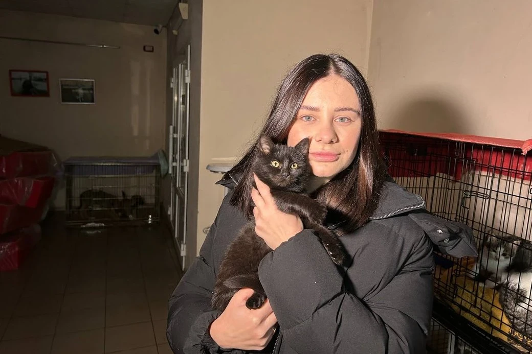 З Донеччини до Житомира: врятовані тварини шукають нові домівки