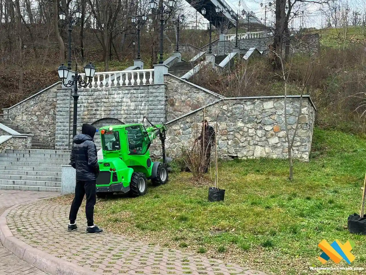 Декоративні дерева прикрашатимуть набережну у парку Шодуара