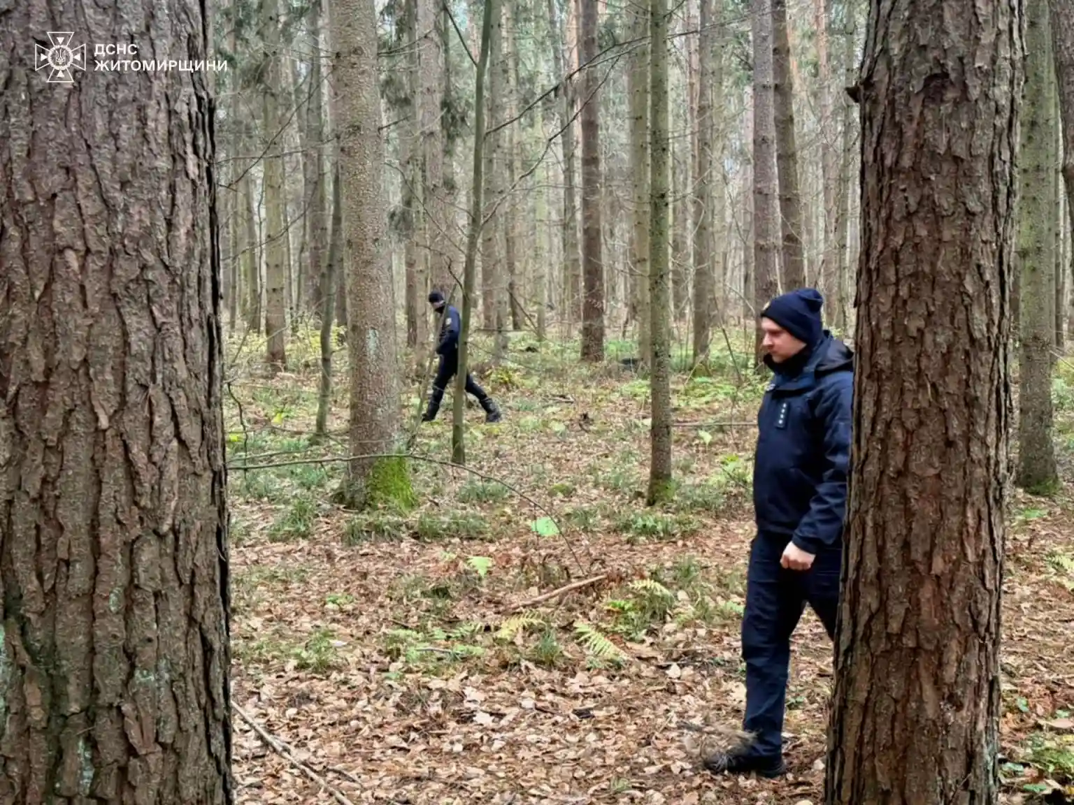 На Житомирщині успішно завершили пошуки зниклого чоловіка у лісі