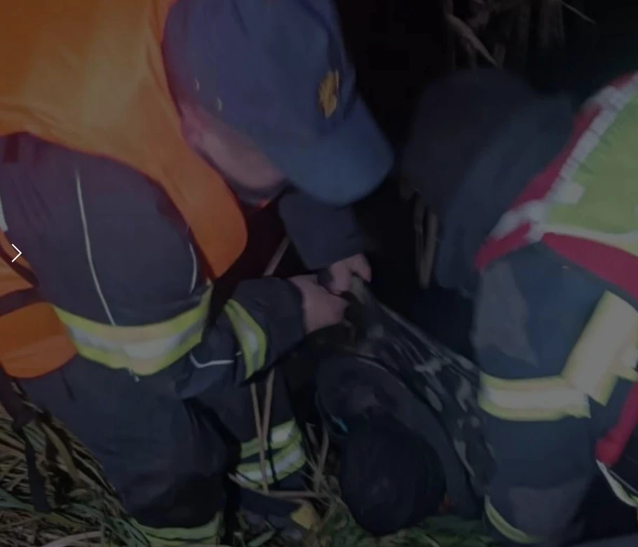 Під Коростенем на березі Норина виявили тіло літнього чоловіка