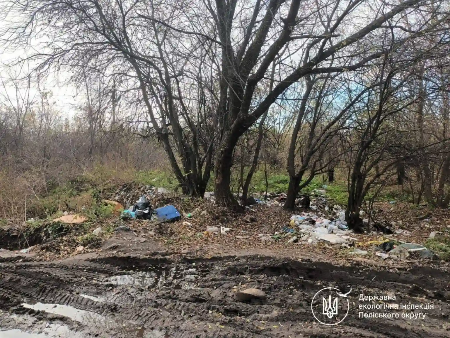 Узбіччя, завалені відходами: під Житомиром знову фіксують стихійні сміттєзвалища