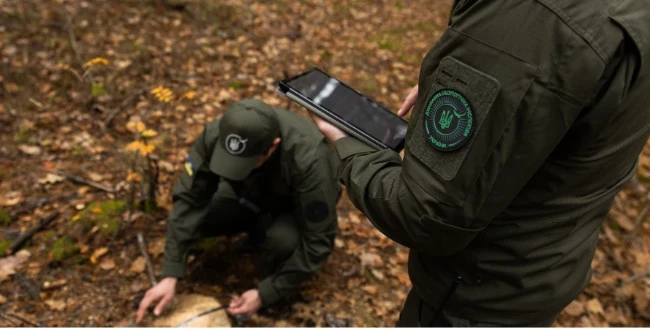 На Житомирщині прокуратура вимагає відшкодування за вирубку понад тисячі дерев