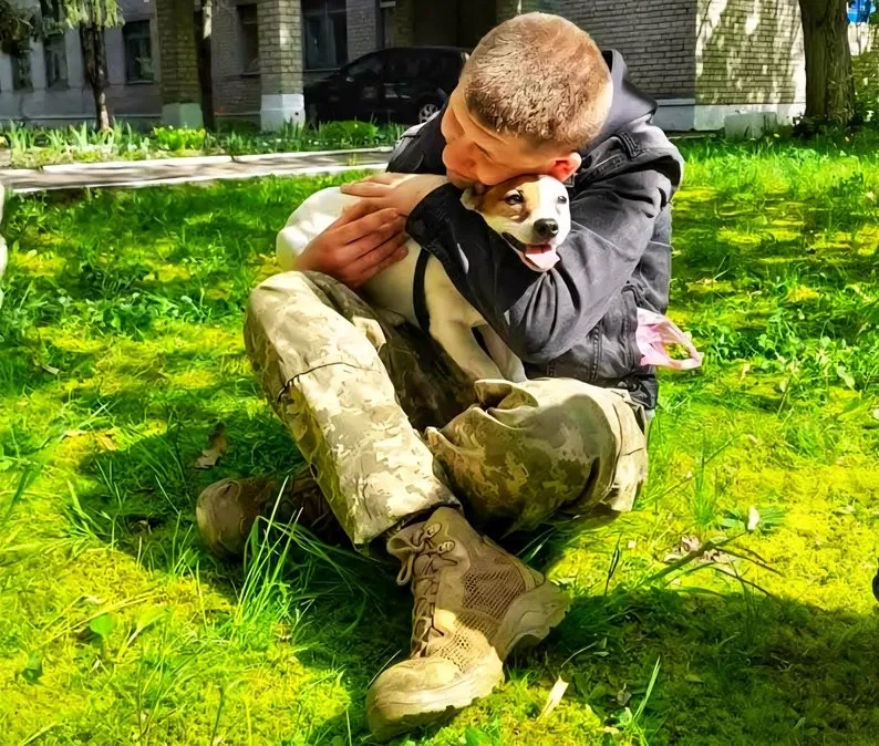Тихі герої війни: як у Житомирі собаки повертають людям радість і спокій