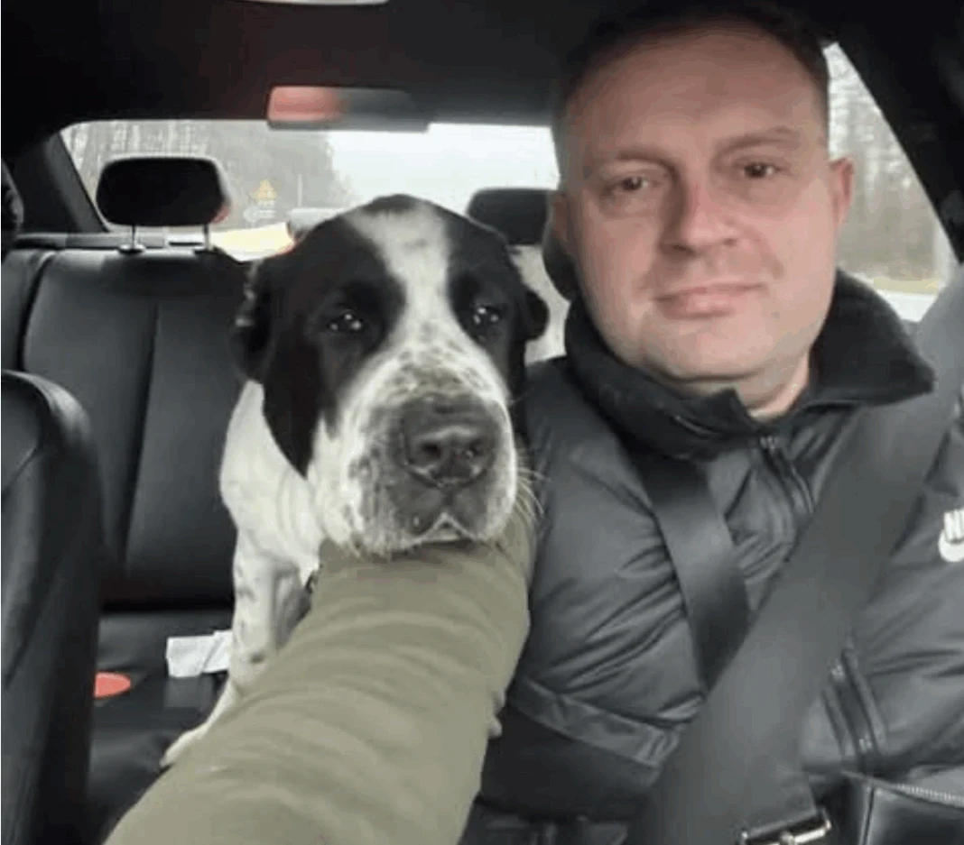 Скандал у Новогуйвинському: інвалідність за тиждень для родички чиновника викликала гнів громади