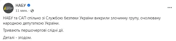 У нардепки Анни Скороход проводять обшуки через підозру у вимаганні $250 тисяч