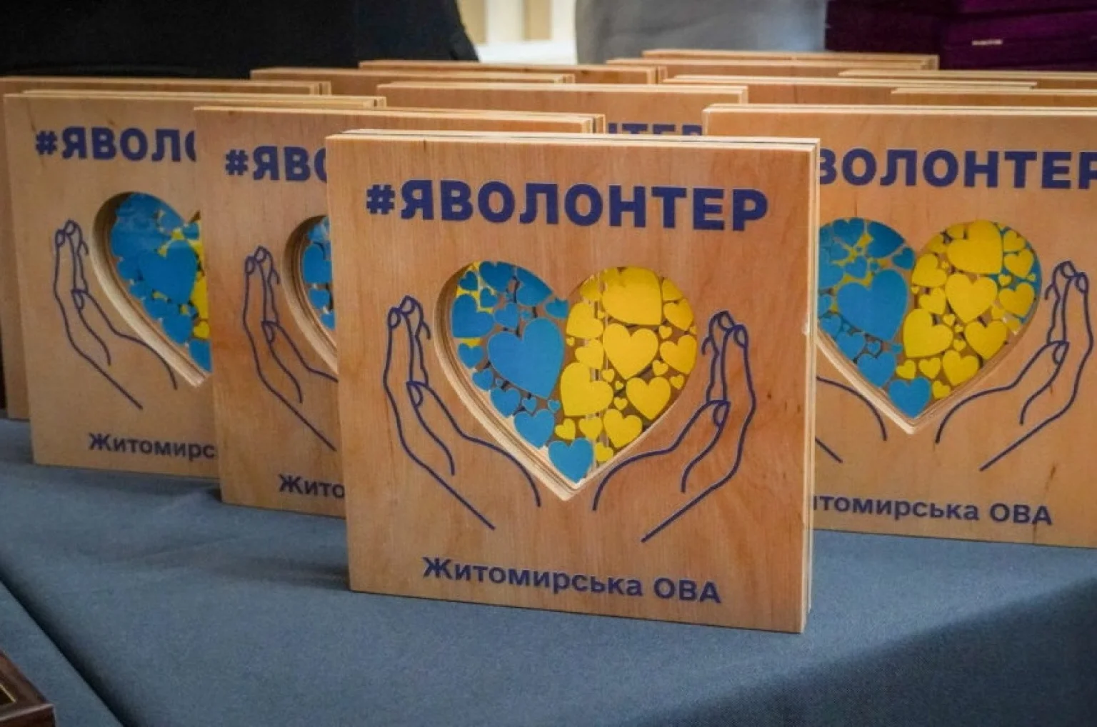 У Житомирі відзначили тих, хто тримає тил: волонтери отримали відзнаки «Я волонтер»