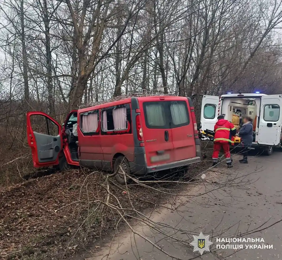 Мікроавтобус вилетів у кювет на трасі Житомир – Попільня: одна пасажирка травмована