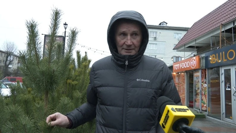 Ялинкові базари у Житомирі: від гілочок за 20 гривень до преміум дерев із Данії