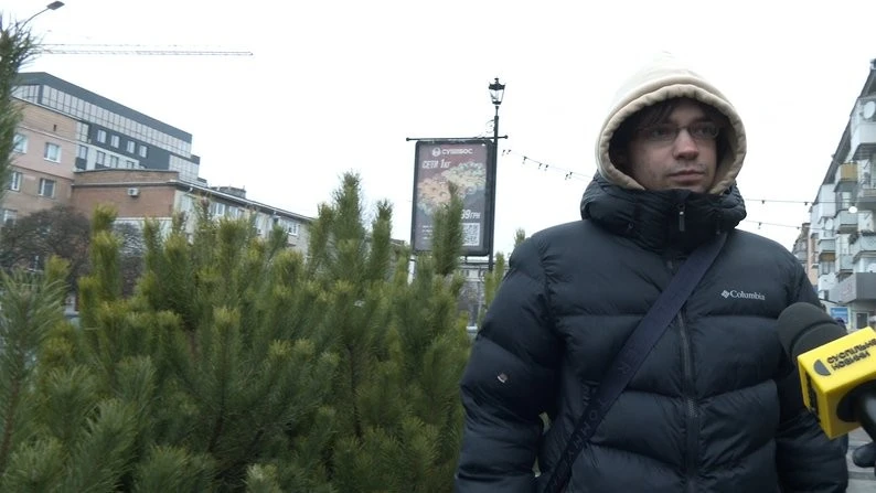 Ялинкові базари у Житомирі: від гілочок за 20 гривень до преміум дерев із Данії