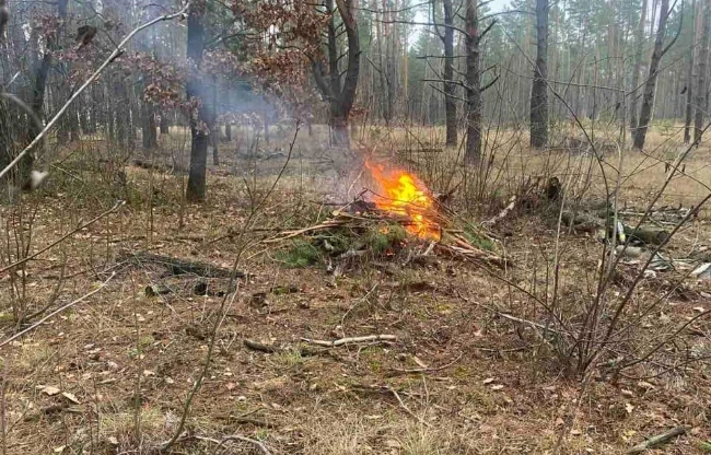 У Радомишльській громаді покарали порушника за спалювання порубкових решток