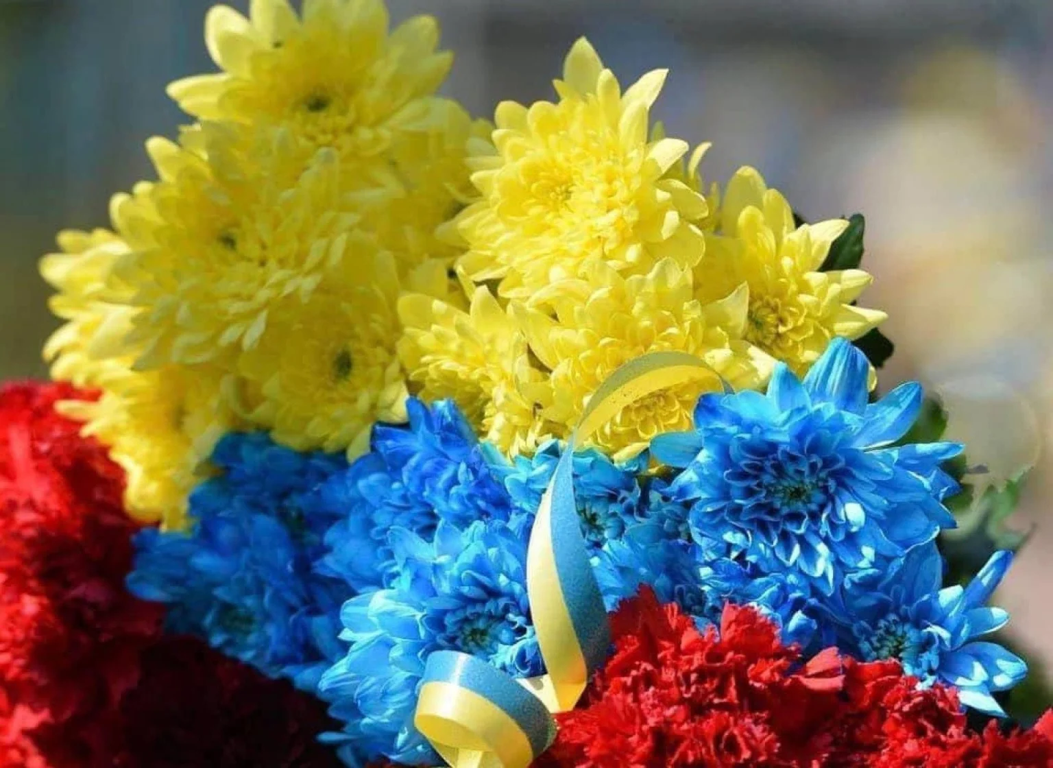 Житомир прощається із героєм: молодший сержант Михайло Колесник загинув на фронті