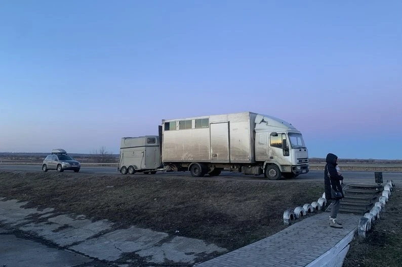 Від Харкова до Житомирщини: кінний клуб “Щаслива підкова” перетворив мрію на життя