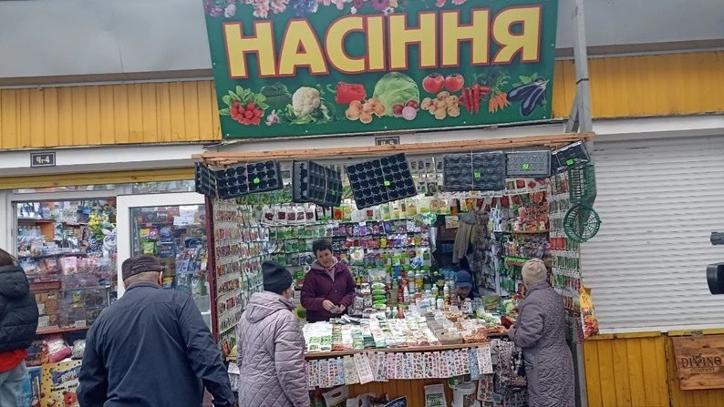 Як зберегти насіння без втрат: поради для городників та фермерів Житомирщини