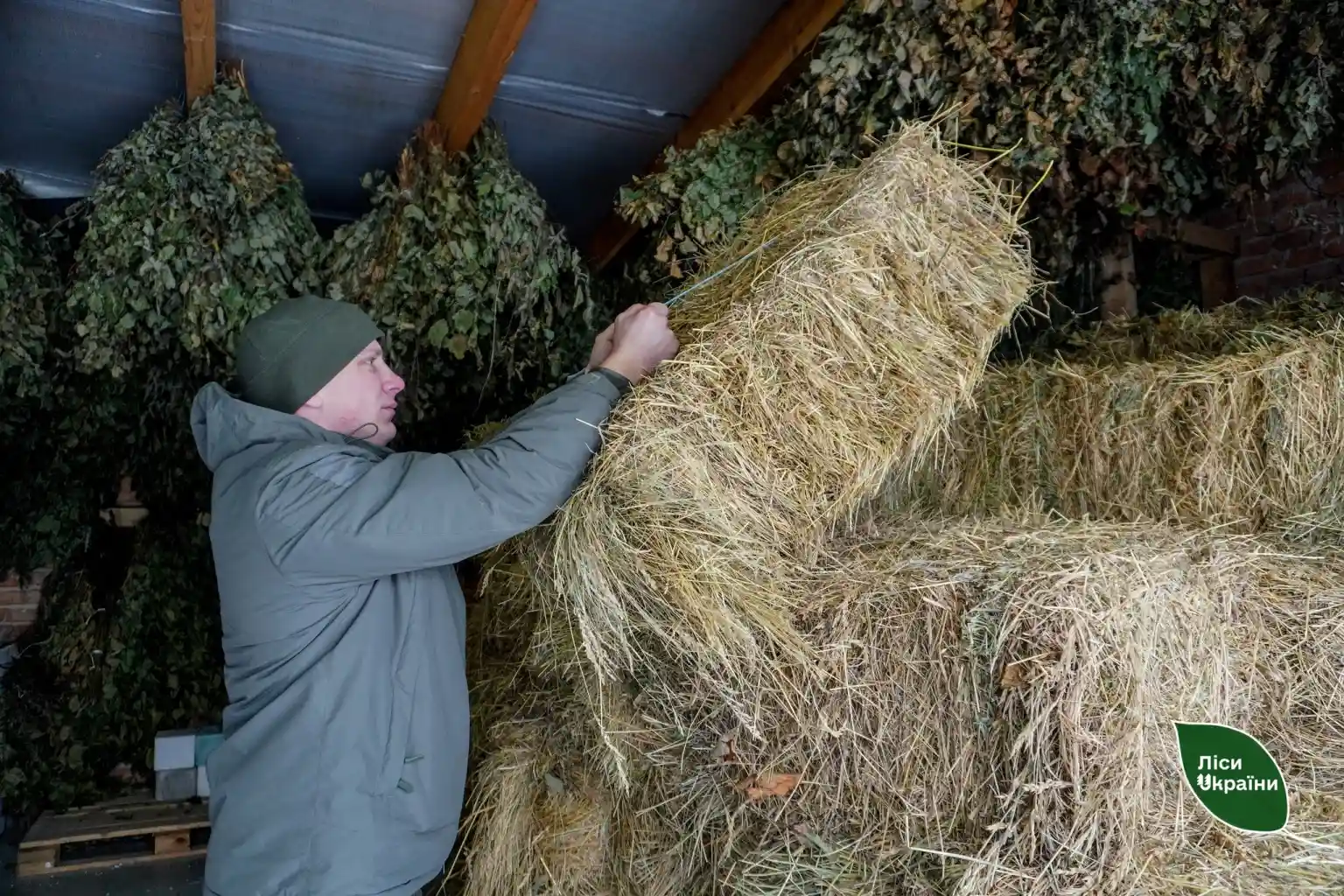 Ліси Житомирщини готові до зими: понад 200 тонн кормів для диких тварин