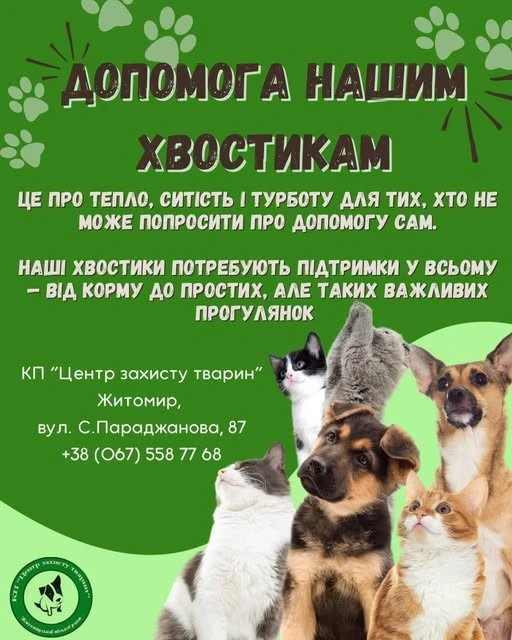 У Житомирі “Центр захисту тварин” просить допомоги для своїх підопічних