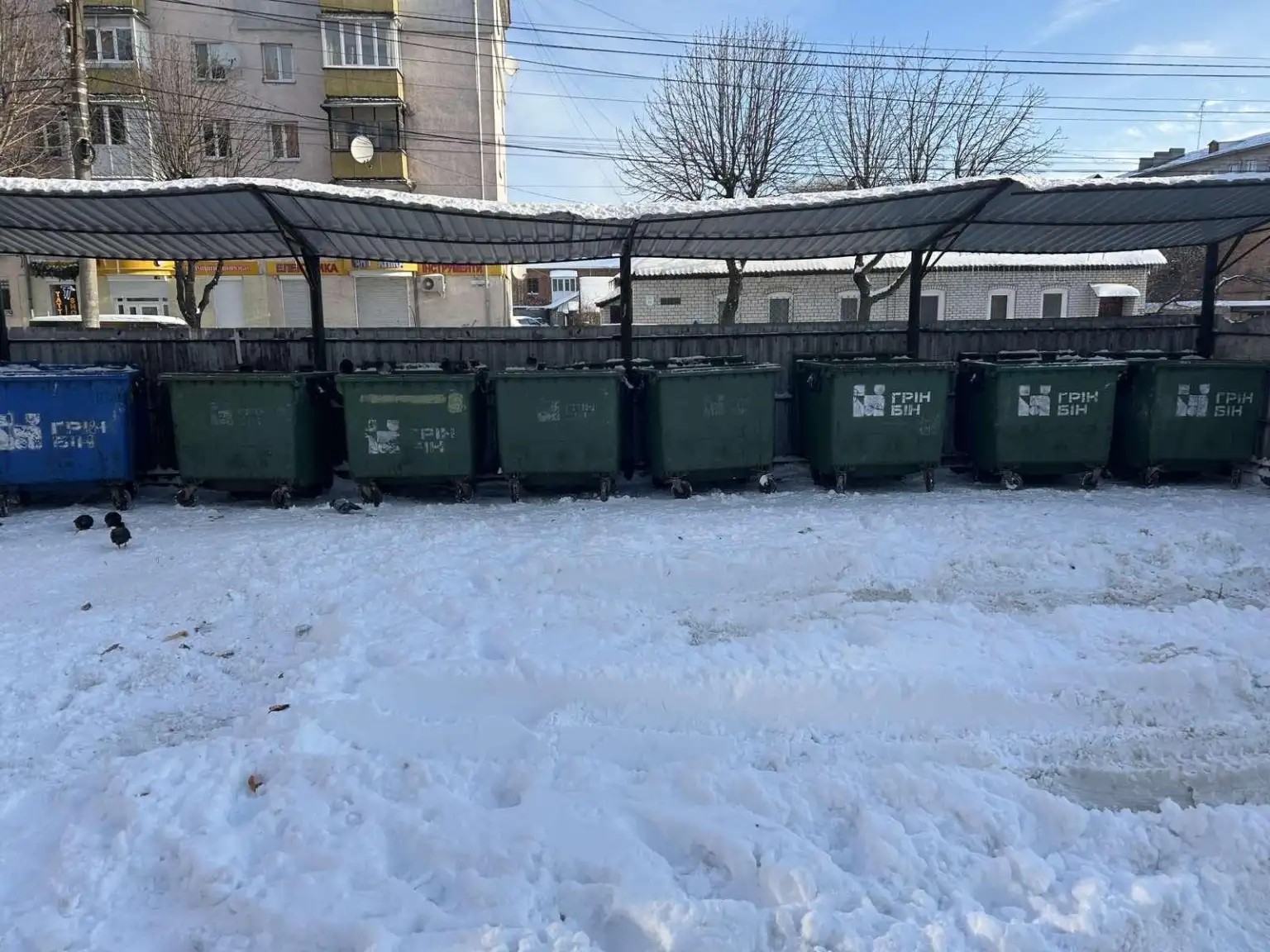 Пауза через заметілі: у Житомирі відновили вивезення сміття