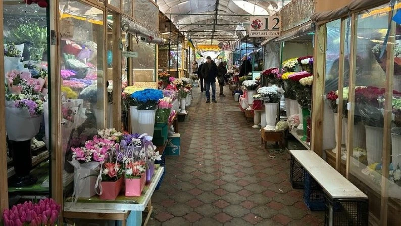 Квітковий ажіотаж у Житомирі: чи вдарять ціни по гаманцях напередодні 8 березня?