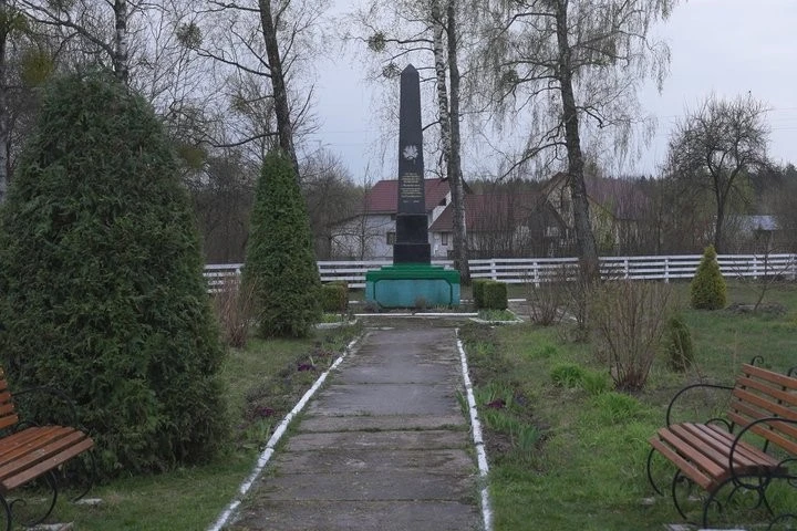 Від радянської назви до історичного коріння: як на Житомирщині перейменовують село Червона Воля