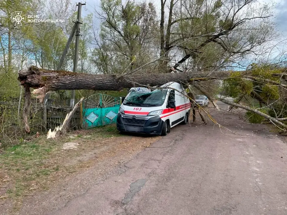 На Житомирщині рятувальники ліквідовують наслідки негоди: дерево розтрощило «швидку»