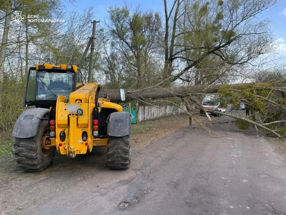 На Житомирщині рятувальники ліквідовують наслідки негоди: дерево розтрощило «швидку»