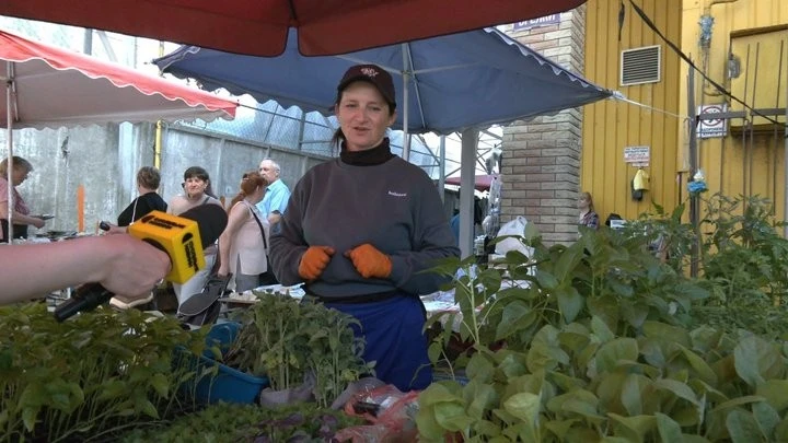 Рання городина в Житомирі: подорожчання насіння та холодний сезон диктують нові ціни