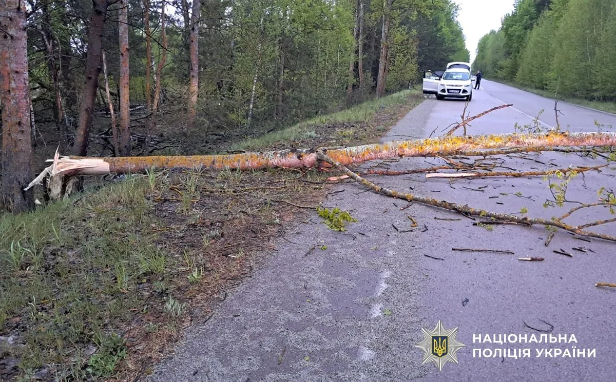 Нічна ДТП на Житомирщині: під Малином у пожежі після зіткнення з деревом загинув мотоцикліст