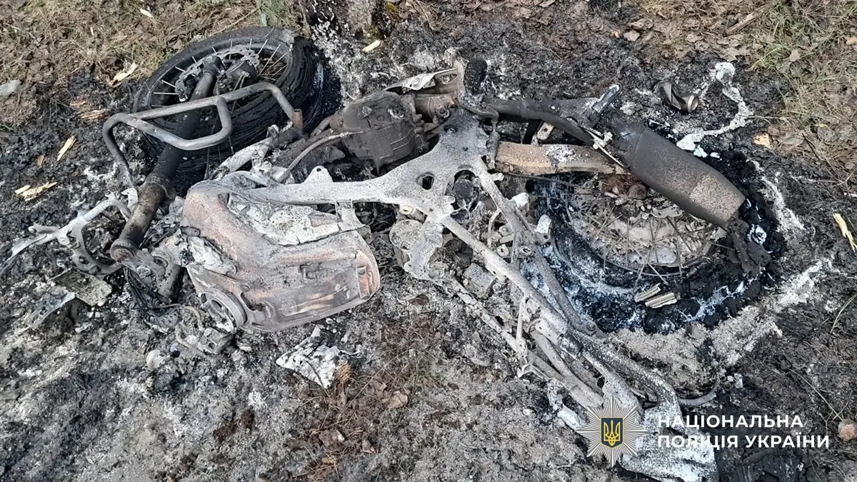 Нічна ДТП на Житомирщині: під Малином у пожежі після зіткнення з деревом загинув мотоцикліст