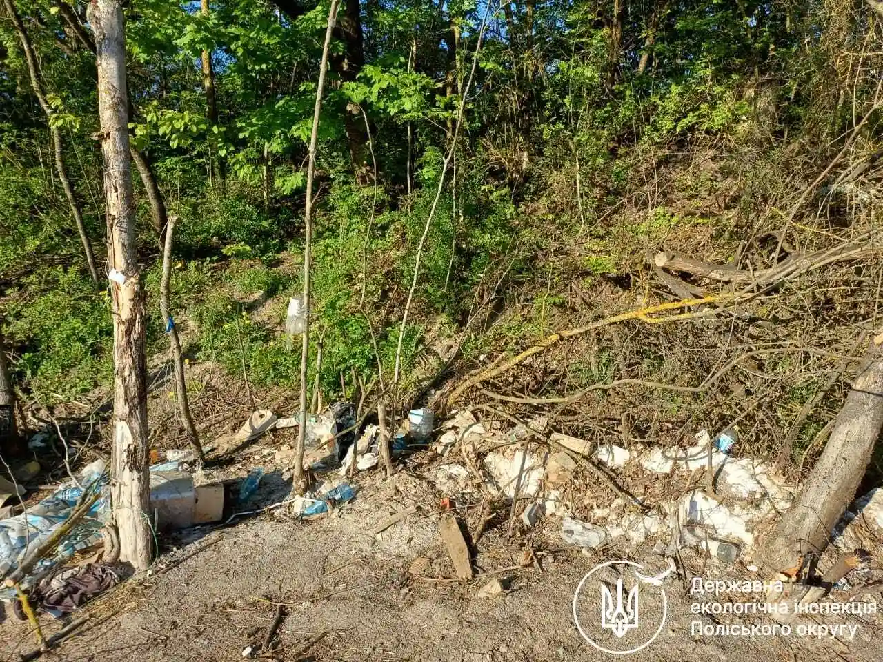 Андріївська вулиця в Житомирі потопає у несанкціонованих відходах