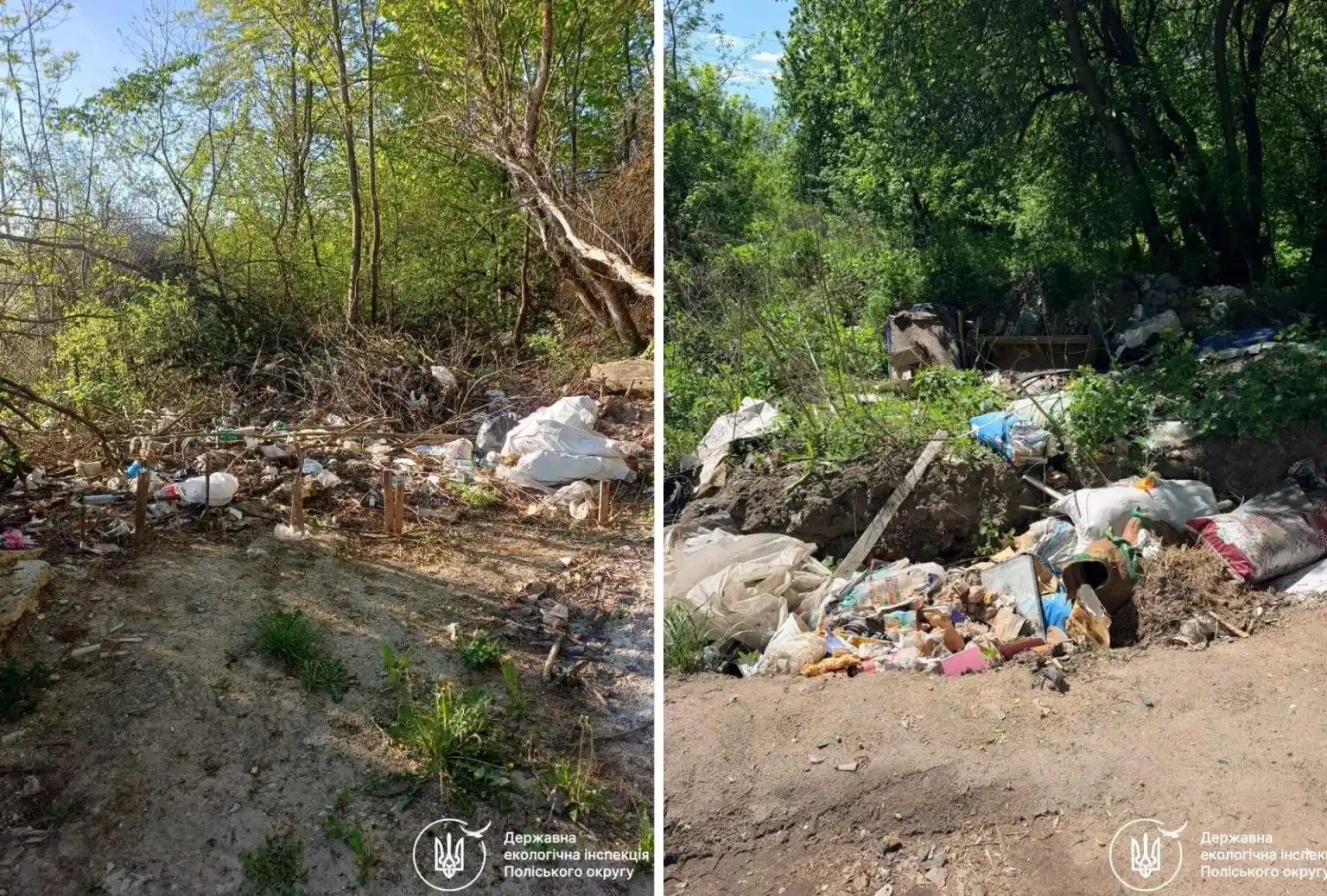 Андріївська вулиця в Житомирі потопає у несанкціонованих відходах