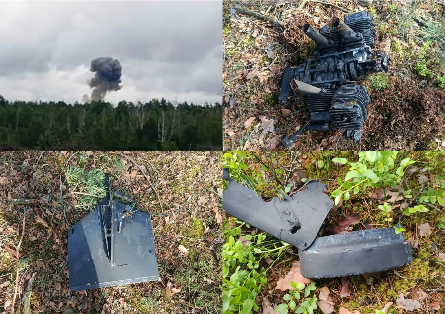 Прикордонники на Житомирщині ліквідували ворожий БпЛА