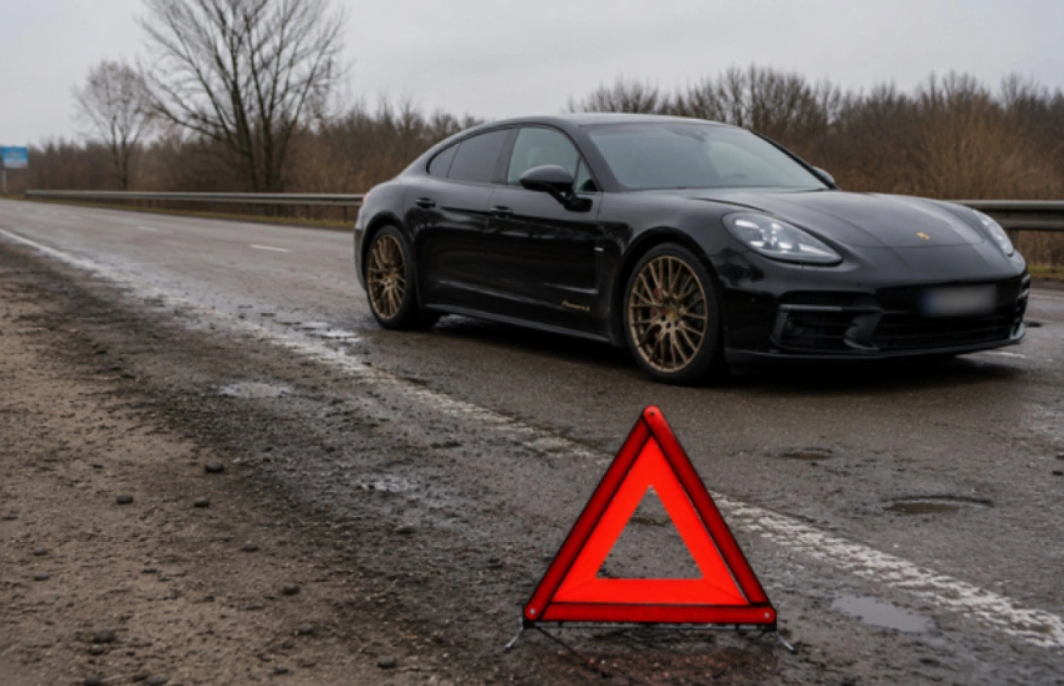 онад 780 тисяч за розбитий Porsche: Верховний Суд зобов’язав дорожників Житомирщини сплатити компенсацію